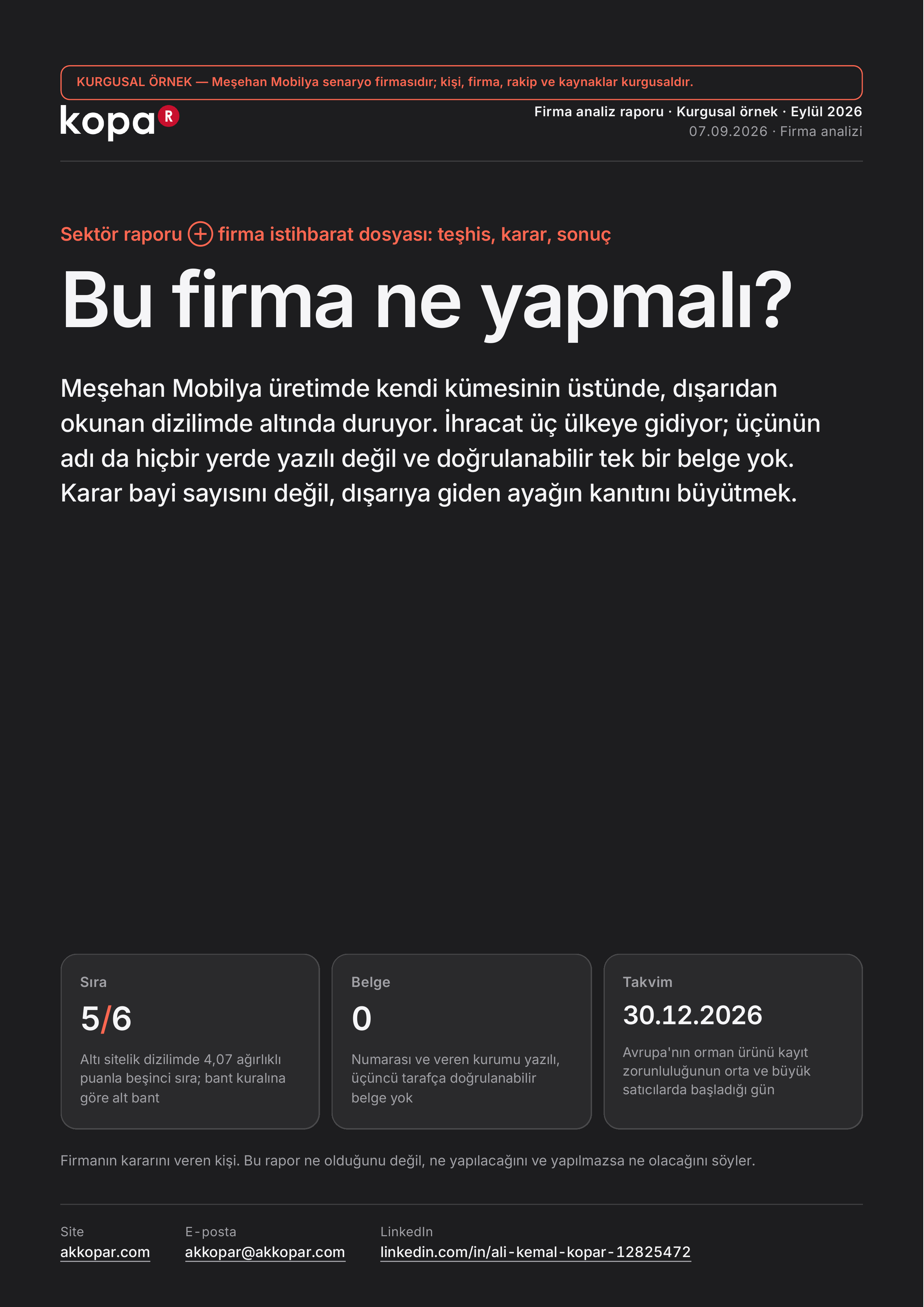 Firma analiz raporunun kapak sayfası.